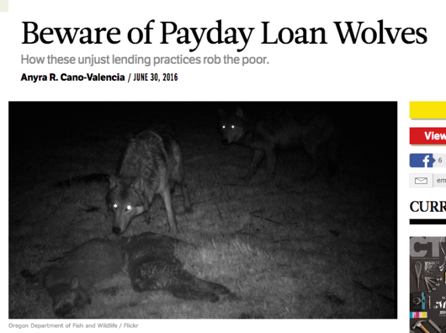 wolves