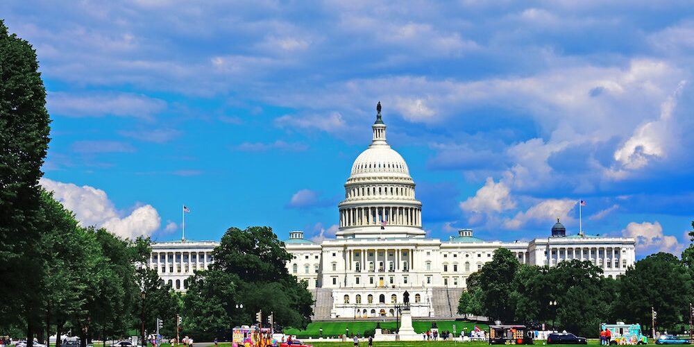 pexels-wendy-maxwell-8421466 (1)